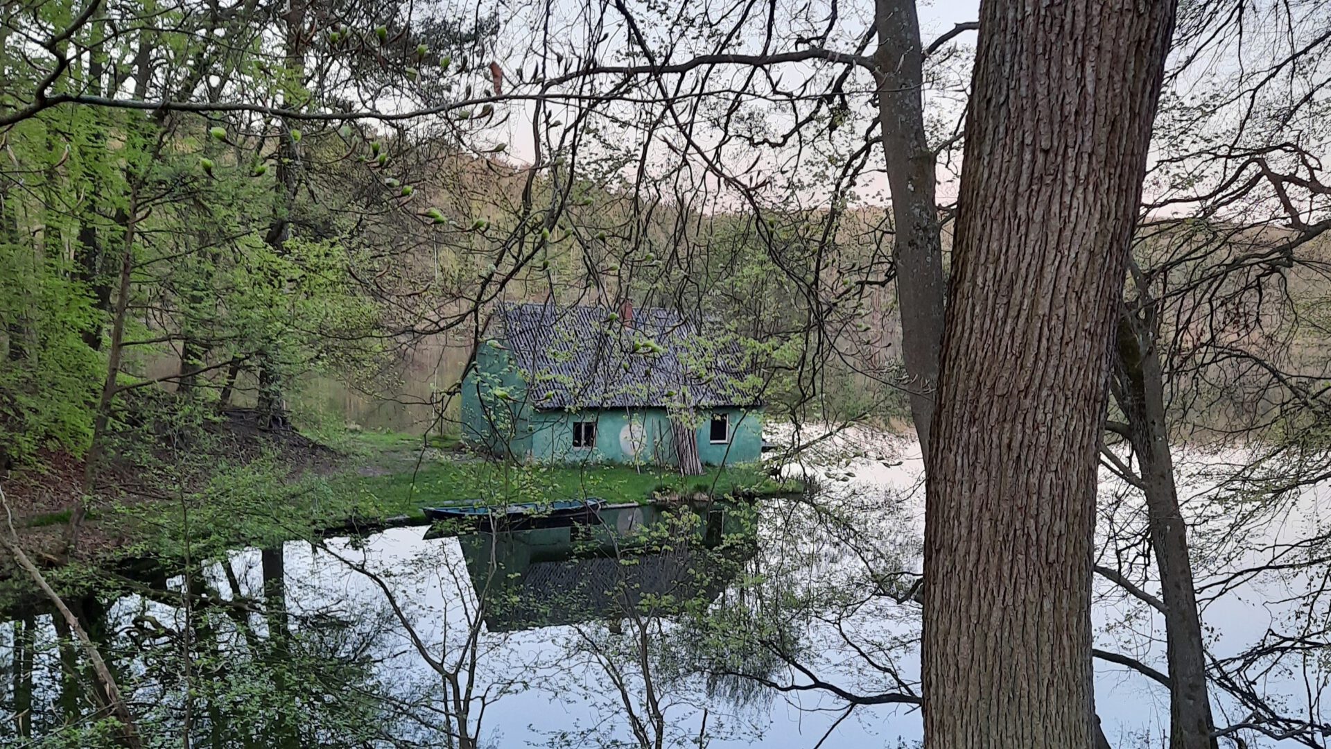 by Constanze Mikeska