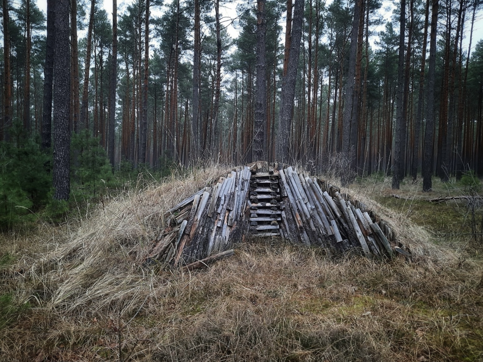 © Annekatrin Schwaeger