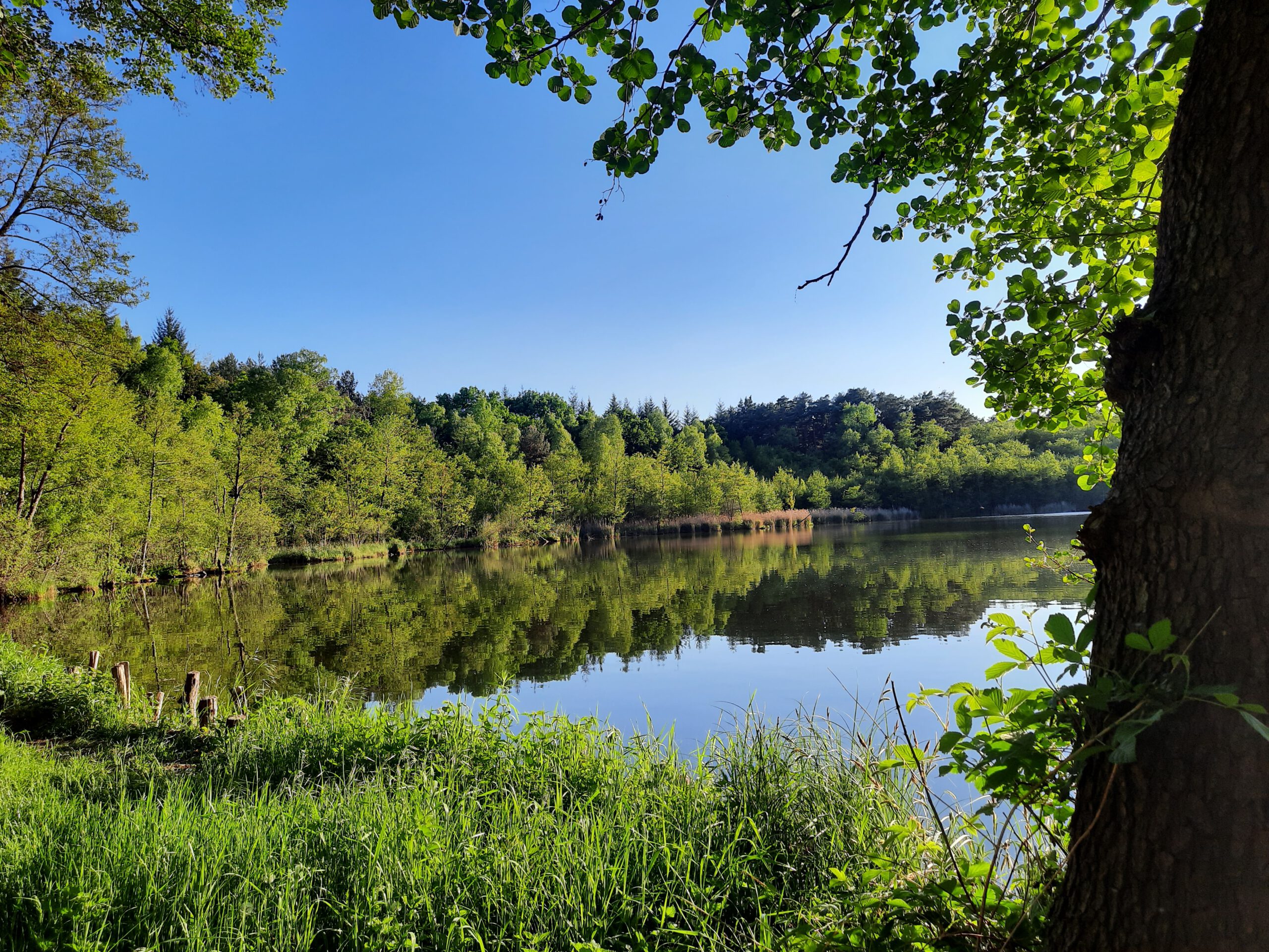 Mouschenzsee, by Annekatrin Schwaeger
