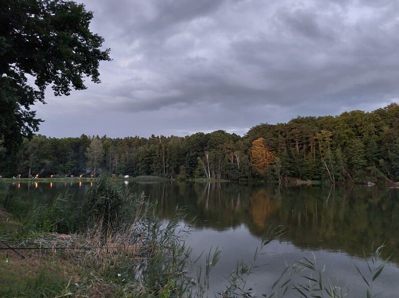 Mondscheinangeln am Dorchesee