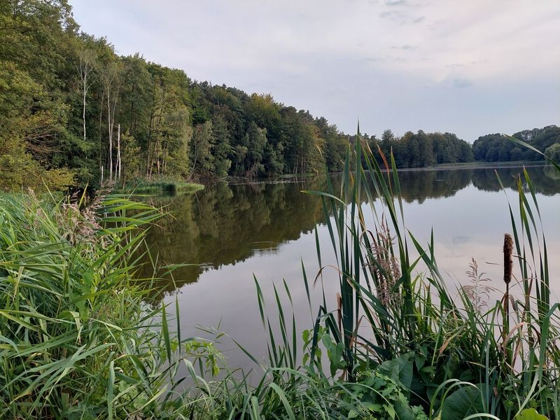 Dorchesee Schwerzko