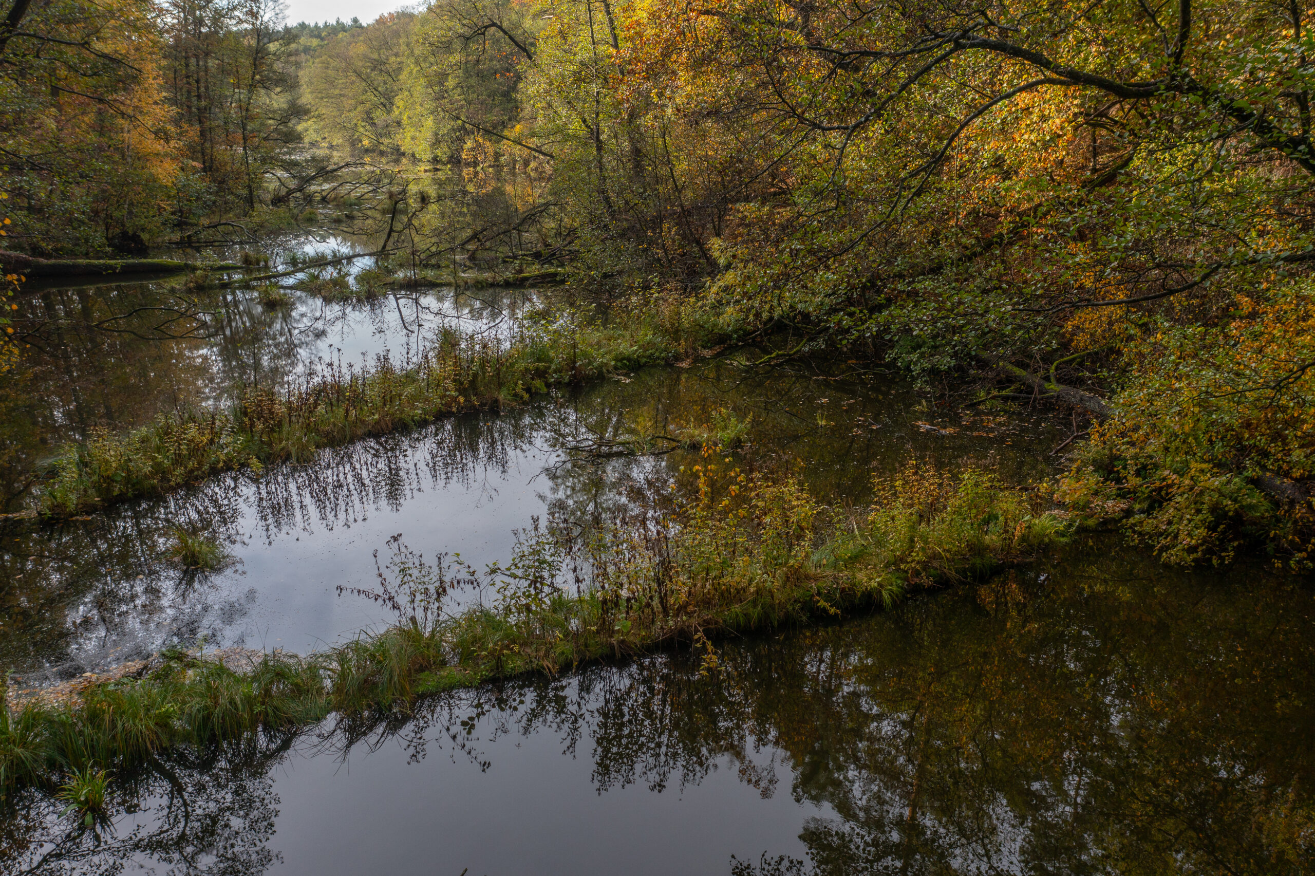 Herbstlicher Anblick der Schlaube